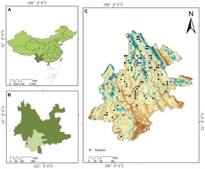 Application of GM (1,1) to predict the dynamics of stand carbon storage in Pinus Kesiya var. langbianensis natural forests